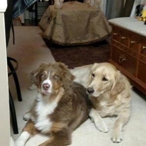 Meet your Posher, Jamie john